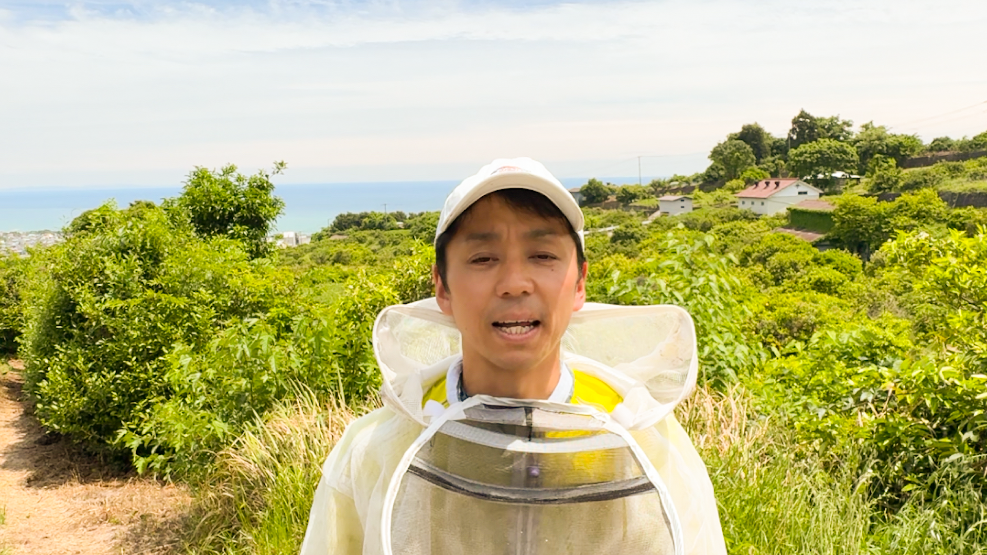 Embark on an Exciting Journey Through Odawara’s Mikan Honey Haven