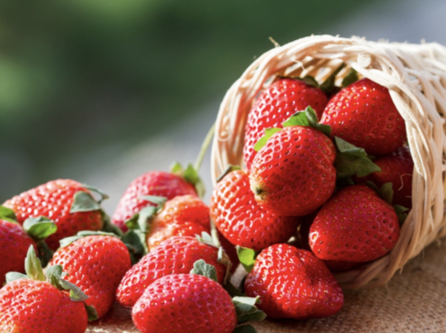 Discover the Delight of Tochigi Strawberry Layers – A Taste of Japan’s Finest Fruits