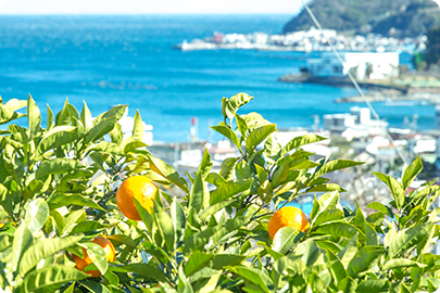 Atami Onsen: A Seaside Sanctuary of Relaxation and Wellness